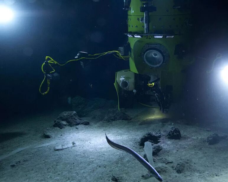 Deepsea challenger батискаф. Бездна челленджера в марианской впадине. Тихий океан марианская впадина. Марианская впадина челленджер. Deepsea challenger батискаф.