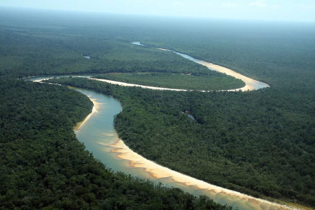 Какая самая большая река. Река Амазонка в Бразилии. Амазонка река Укаяли. Бразилия Амазонская низменность. Южная Америка Амазонская низменность.