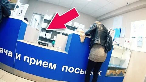 Прием пос