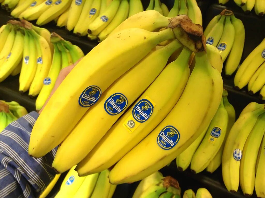 Cavendish bananas. Mei bananas производитель. Производители бананов. Глобал вилладж бананы. Mei bananas производитель.