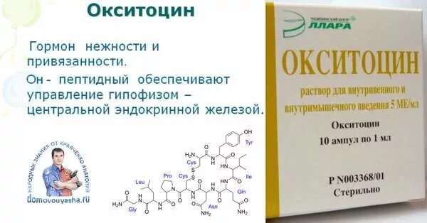 Окситоцин это гормон чего. Окситоцин. окситоцинормон счастья. окситоцин гормон. окситоцин гормон радости.