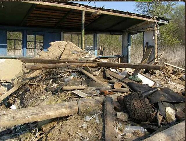 Найти собаку ответы. Найти собаку ответы. Найди собаку на фото. Найди собаку ответ. Найди кота на картинке.