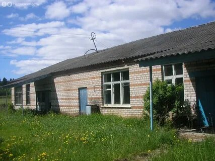 Авито пестово