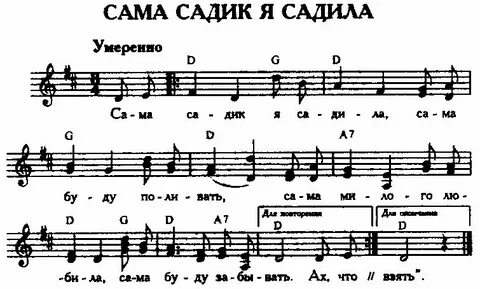 Зачем же я розочку садила текст