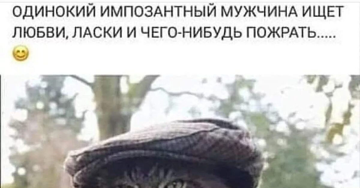 Ищи что нибудь. Одинокий мужчина ищет. одинокий импозантный мужчина ищет любви и что нибудь пожрать. импозантный кот. мужчина с котом.