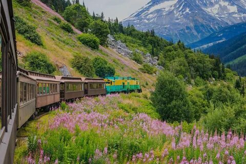 It s safe to travel train