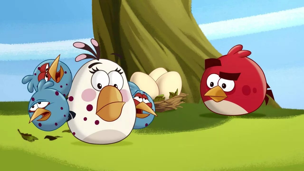 Бердс сердитые птички. Злые птички (Angry Birds toons!) 2013. Angry Birds toons Episode. Бешеная птичка.