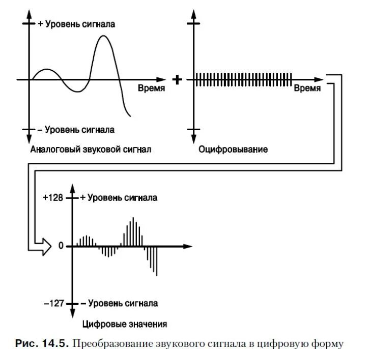 Процесс преобразования звука. Оцифровки аналоговых сигналов. Преобразование аналогового сигнала в цифровой. Представление аналогового сигнала в цифровой форме. Порядок оцифровки аналогового сигнала.