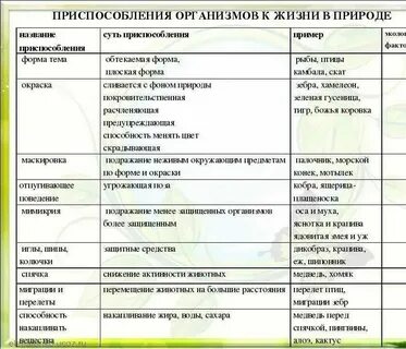 Таблица адаптации 11 класс