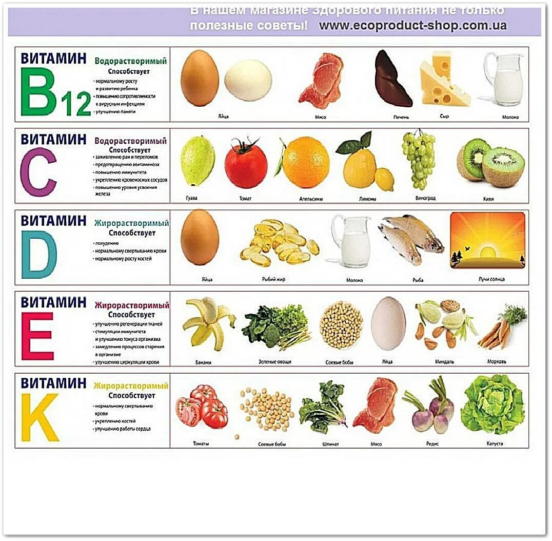 Витамины растительного происхождения таблица. Витамины роль в организме в каких продуктах содержится таблица. Витамины и их роль в организме человека таблица 10. Таблица продуктов содержащих витамин ц. Таблица витаминов в организме человека