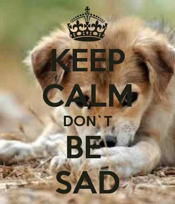 Don be sad. Don't be upset. Don't be Sad. Calm Sad. Do not be Sad.
