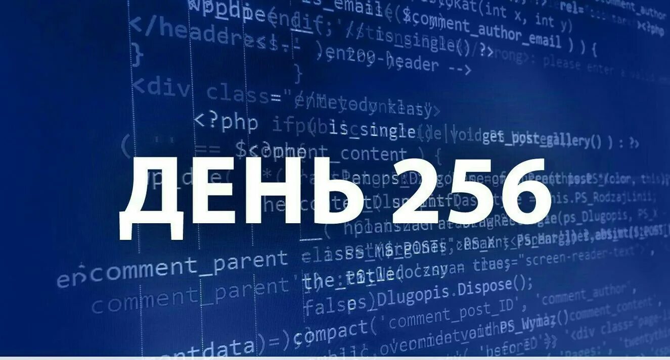 Какой день программиста. День программиста 256. 256 день в году день программиста. с днем программиста 256 день. празднование день программиста.