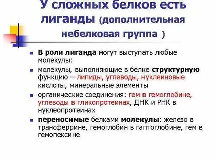 Суть белков