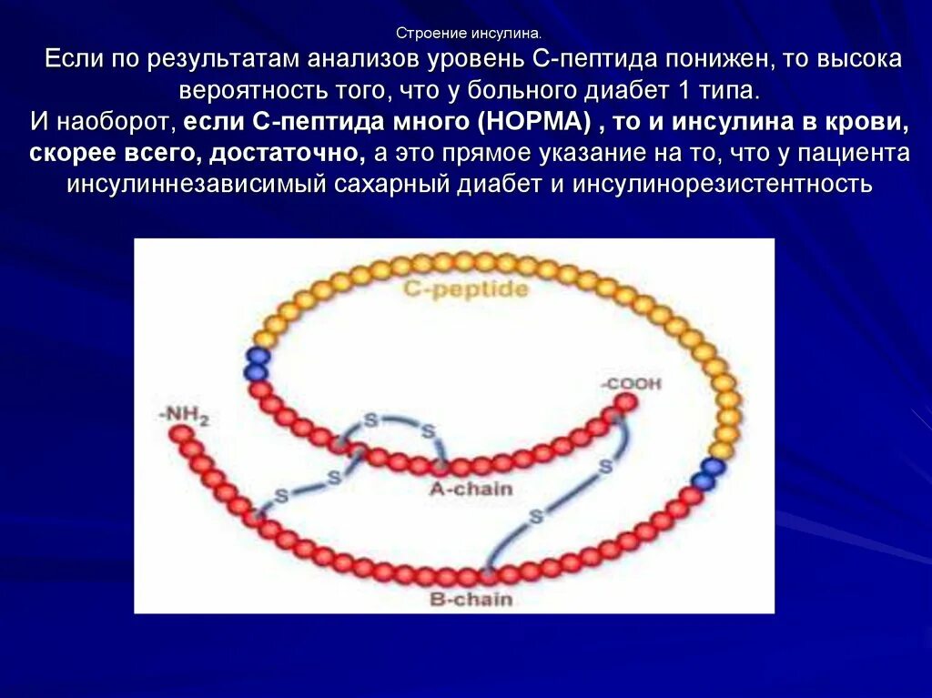 Установите последовательность этапов получения инсулина. Строение белка инсулина. Инсулин строение молекулы. Биосинтез инсулина биохимия. Инсулин строение биохимия формула.