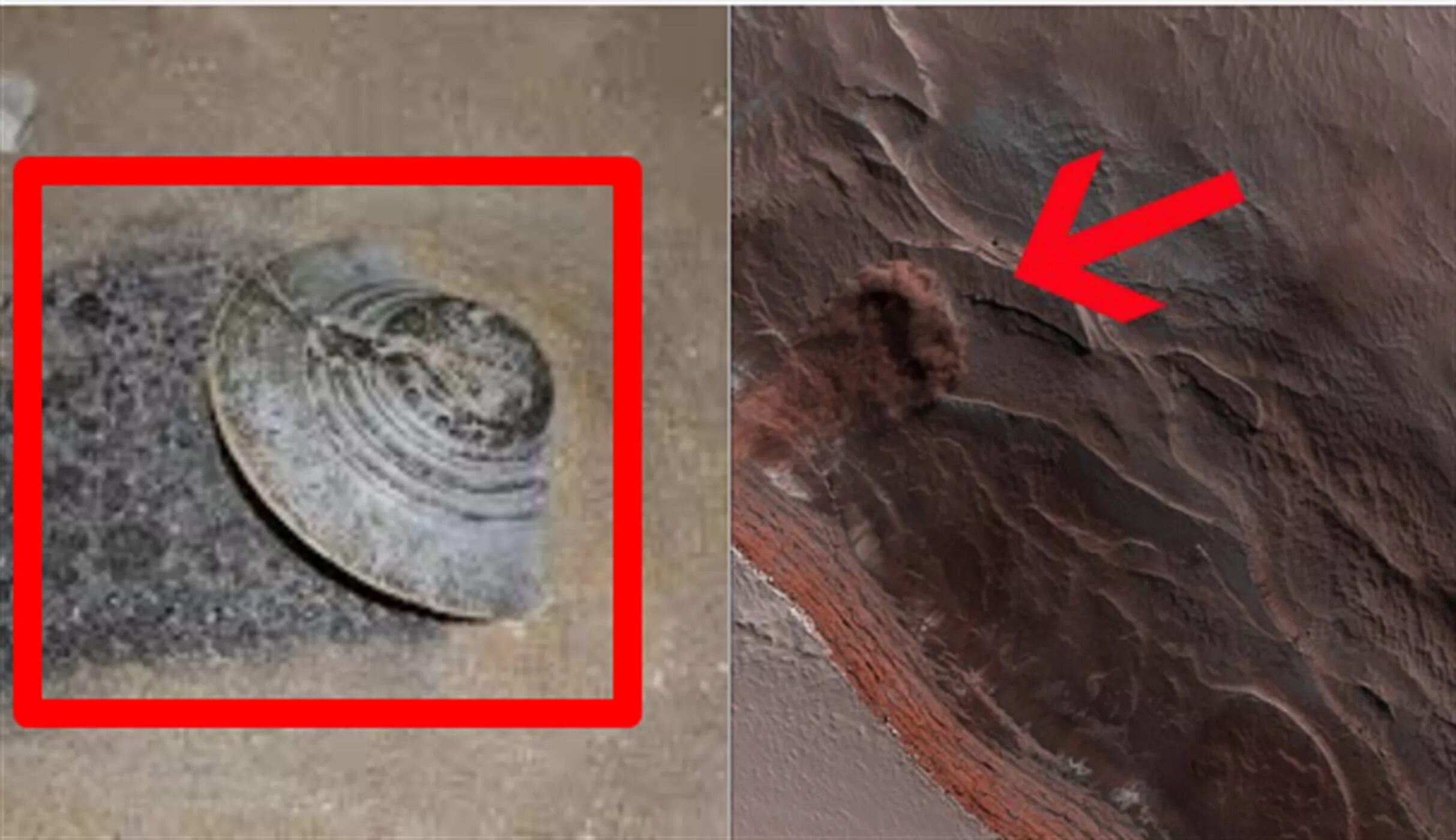 Наса по датам. 04. Наса по датам. Марс 2022 наса. Nasa 11.