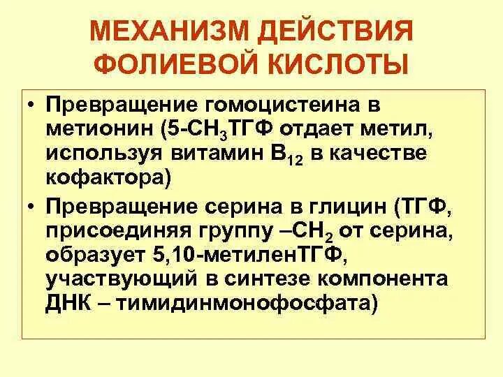 Фолиевая кислота механизм действия. Механизм действия фолиевой кислоты. Фолиевая кислота эффекты. Фолиевая кислота в кроветворении.