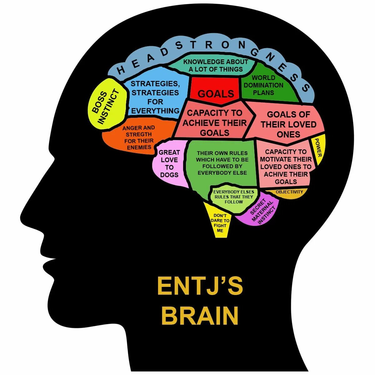 INTJ личность. ENTJ Тип личности. Тип личности стратег INTJ-A. Типы личности INTJ ENTJ.