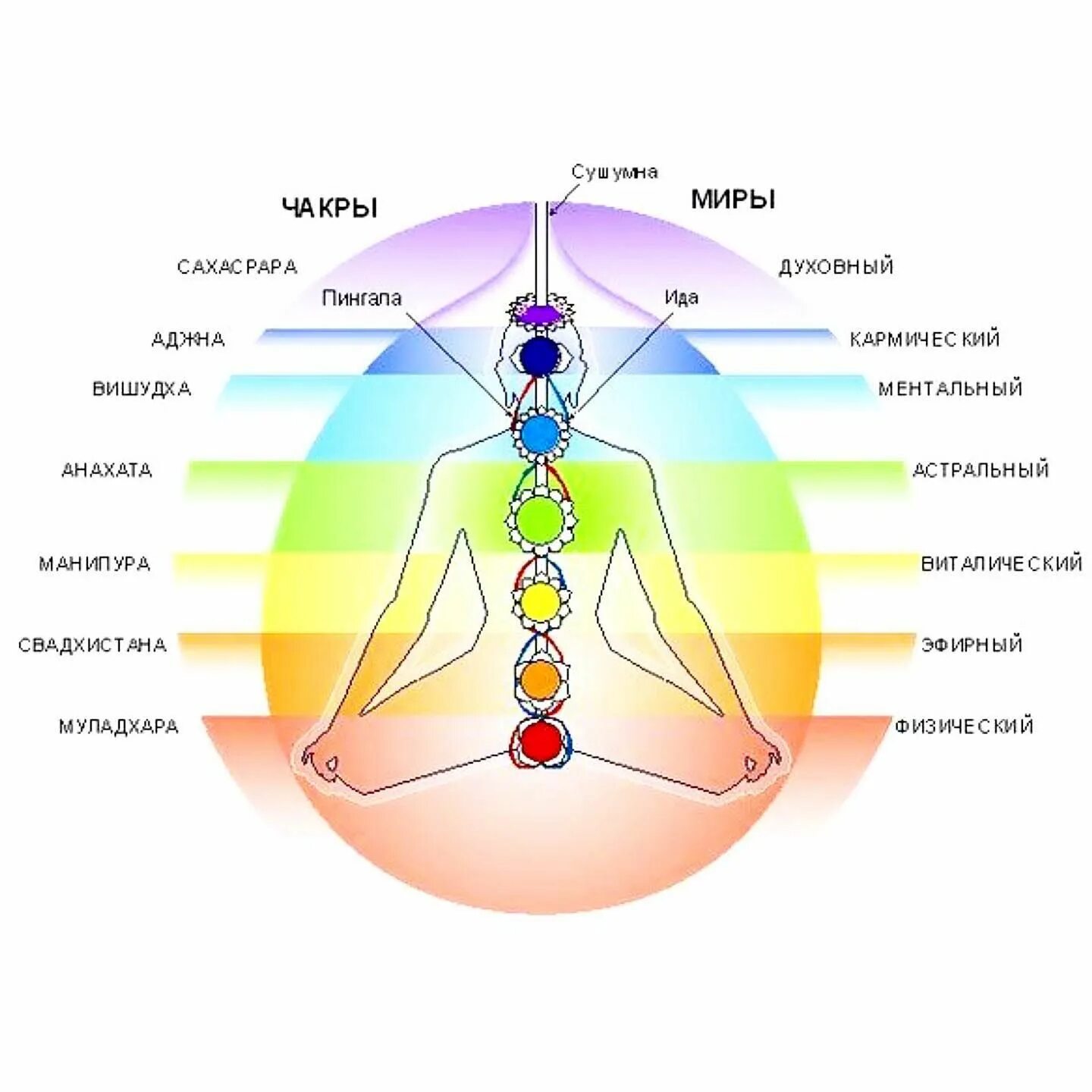 Энергетический типаж личности. Энергетическая система человека и чакры. Полная чакральная система человека. Система чакр человека. Энергетические центры человека чакры.