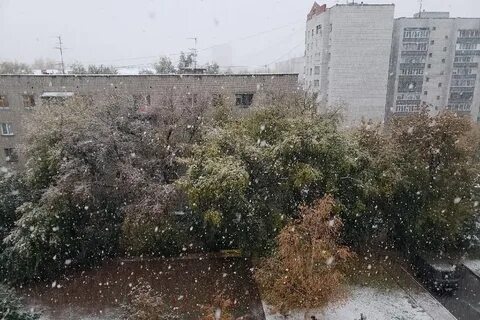 Погода на 2 сентября новосибирск