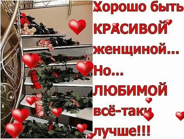 Довольно таки приятно. Хорошо быть красивой женщиной но любимой все-таки лучше. хорошо быть красивой женщиной но любимой всё-таки лучше. хорошо быть красивой. хорошо быть красивой женщиной но любимой все-таки лучше картинки.