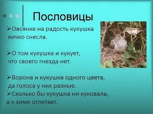 Кукушка кукует не открывая клюва верите ли