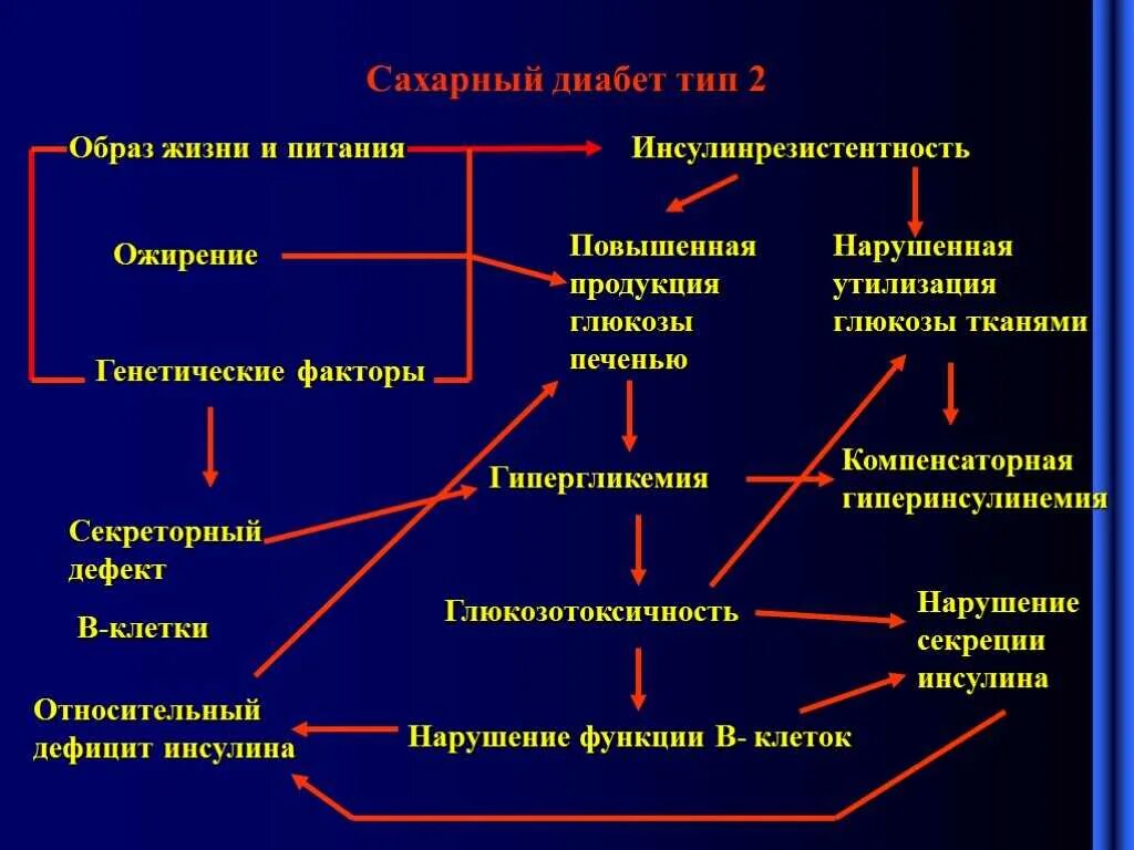 Два типа сахарного диабета. Сахарный диабет 2 типа патогенез ожирение. сахарный диабет 1 типа образ жизни. ожирение при сахарном диабете 2 типа. патогенез ожирения при сахарном диабете 2 типа.