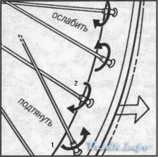 В какую сторону тянется