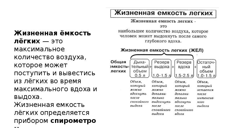 Как определить емкость легких. Механизм дыхания жизненная емкость легких. Жизненная емкость легких у взрослого человека. Определение жизненной ёмкости лёгких. Жизненная емкость легких здорового человека.