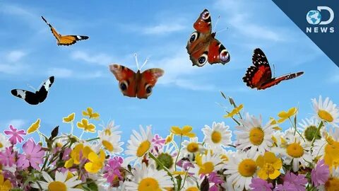 Spring begins