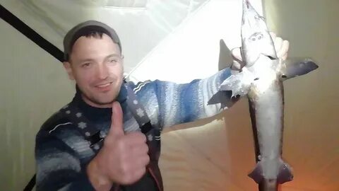 Как поймать осетра в реальной рыбалке
