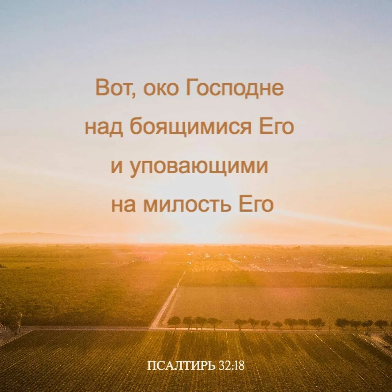 Отдать на милость. Отдать на милость