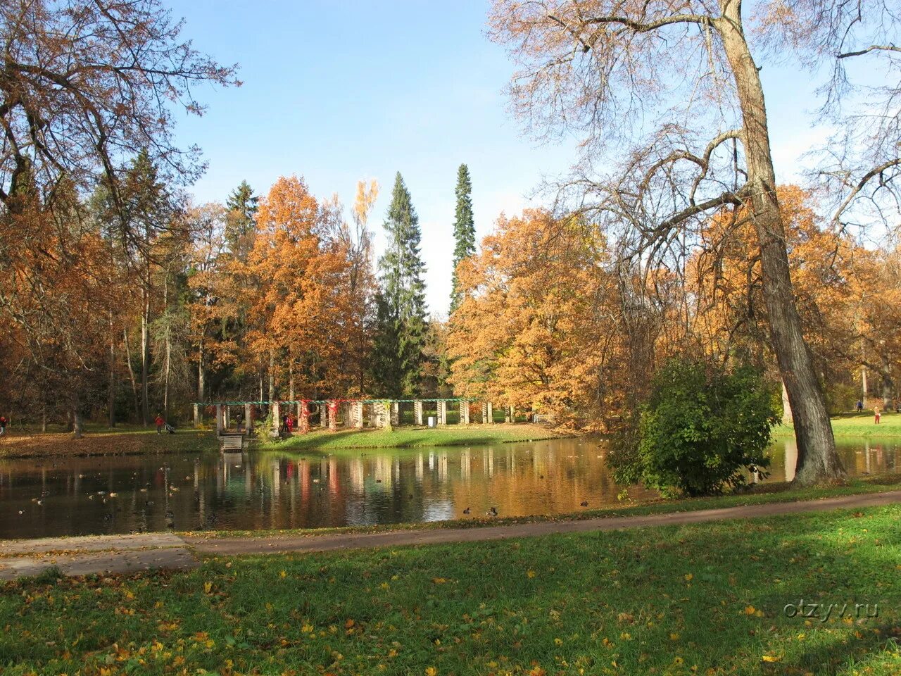 Осень 2013 год. Ораниенбаум Санкт-Петербург парк осень. Парк Ораниенбаум осенью. Дворец Ораниенбаум осенью. Парк Ораниенбаум Нижний пруд.