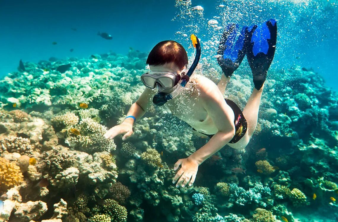 Sea dive. Красное море дайвинг снорклинг. Саона снорклинг. Снорклинг Шарм Эль Шейх. Снорклинг голубая Лагуна Бали.