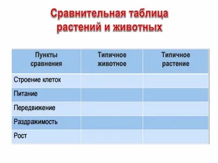 Сравнительная таблица растения грибы животные