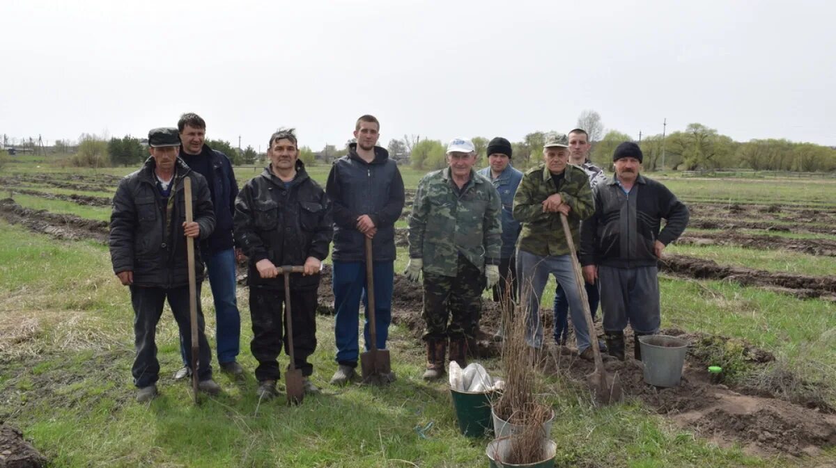 Кутки воронежская область