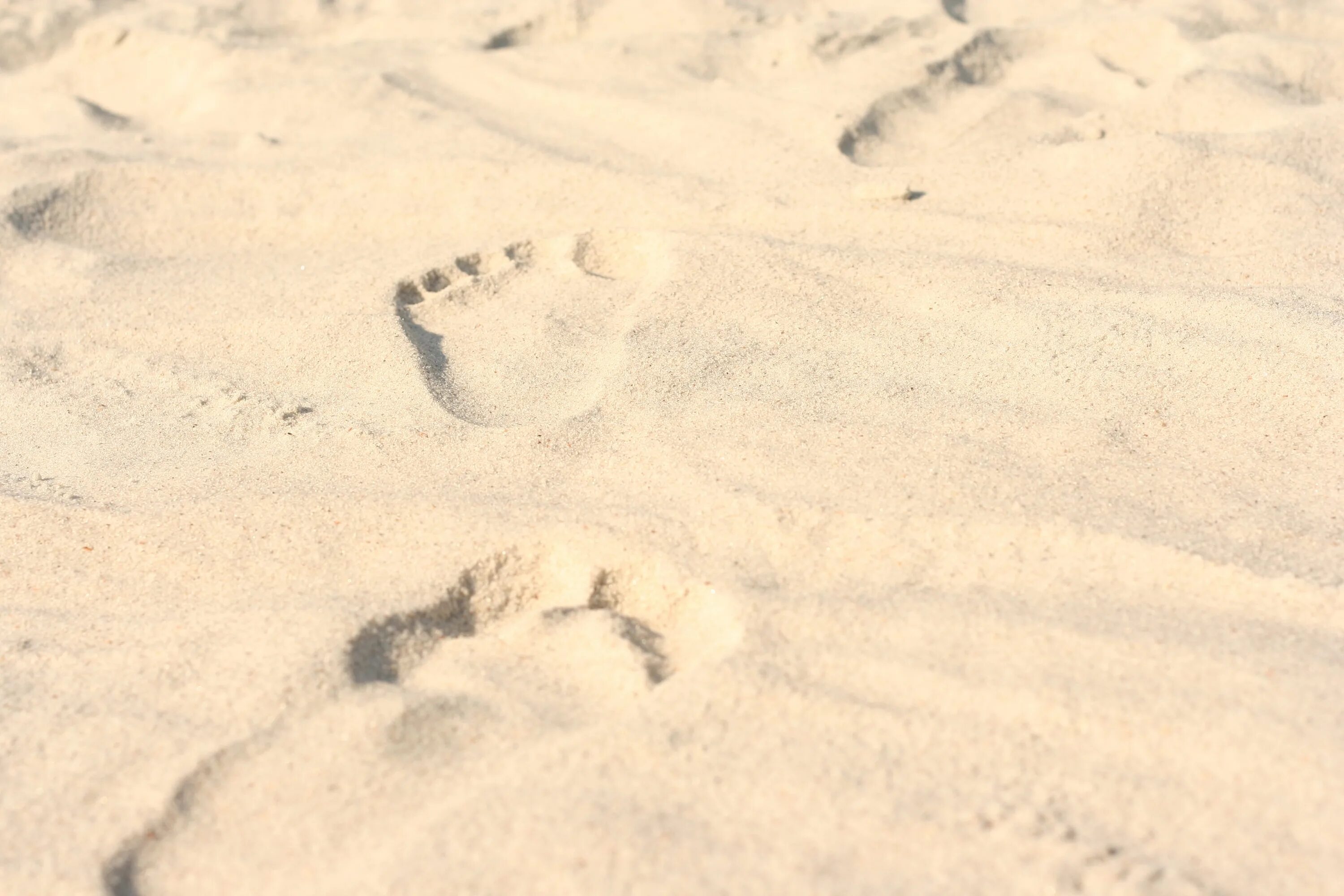 Текст следы на песке. Следы на песке. Песок пляж текстура. Следы на песке сверху.