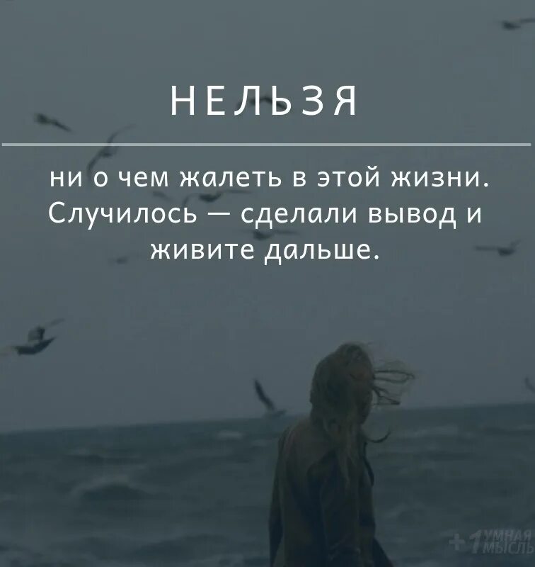 Ничего не случилось жизнь случилась. Нельзя ни о чем жалеть. а что дальше цитаты. сделали вывод и живите дальше. нельзя ни о чем жалеть в этой жизни случилось.