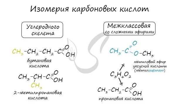 Какая изомерия характерна для карбоновых кислот. Межклассовая изомерия карбоновых кислот. Изомеры углеродного скелета карбоновых кислот. Структурная изомерия межклассовая углеродного скелета. Изомерия углеродного скелета карбоновых кислот.