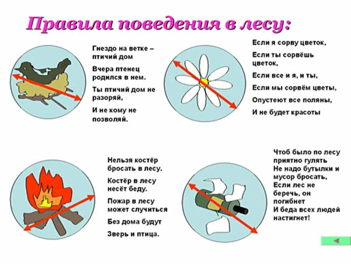 Правила поведения знаки для детей. Правила поведения в лесу. Знаки правил поведения в природе. Правлаповедеявприроде. Правила поведения на природе.