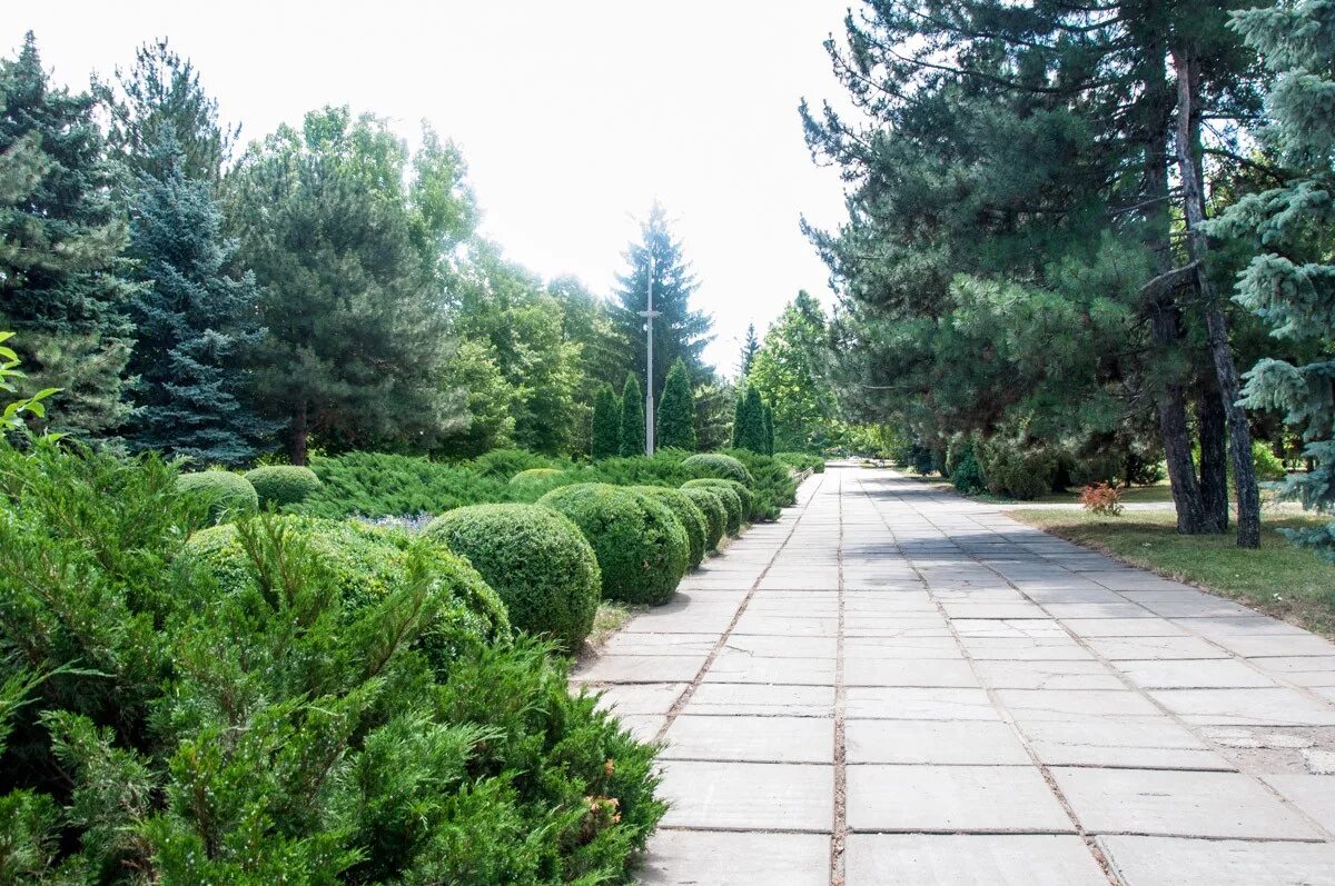 Парк город Рыбница. Городской парк Рыбница. Набережный парк Рыбница. Парк в Рыбнице ПМР.