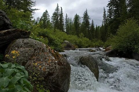 Саянский край