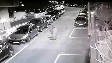 Атака на белоруссию сегодня