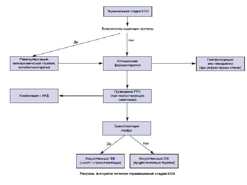 Терминальная стадия ХСН. Терминальная стадия хронической сердечной недостаточности. Хирургическое лечение ХСН. Терминальная стадия ХСН симптомы. Терминальная сердечная недостаточность