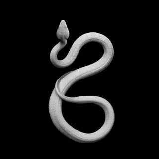 Am snake