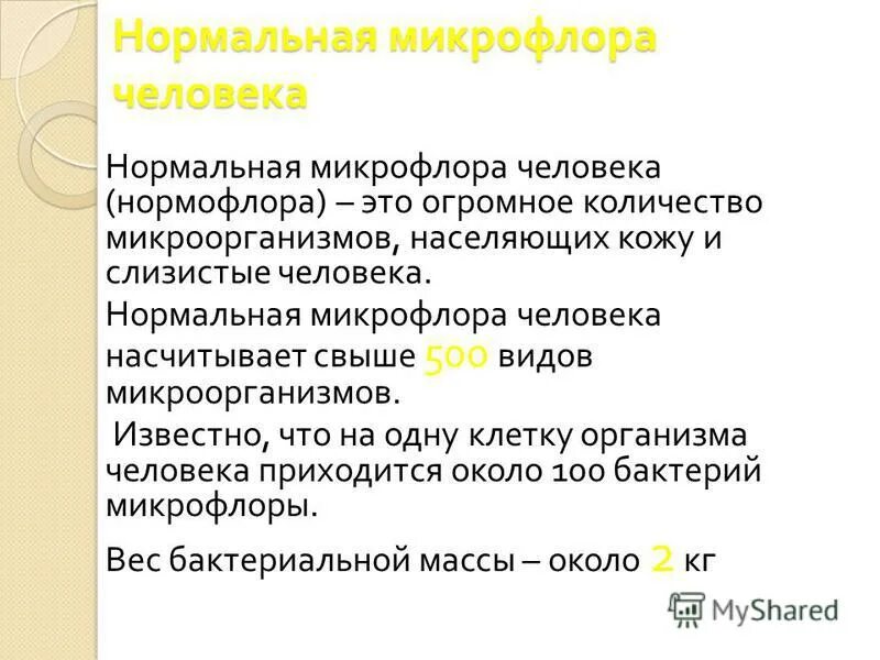 Нормофлора