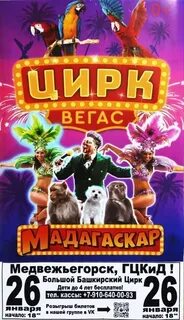 Цирк 26
