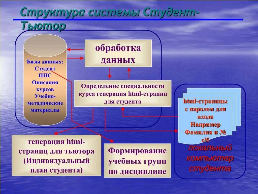 Компьютерные и информационные науки рудн. Структура тьюторской системы. структура студента. иерархия студентов. гуманитарные науки и социальные науки.