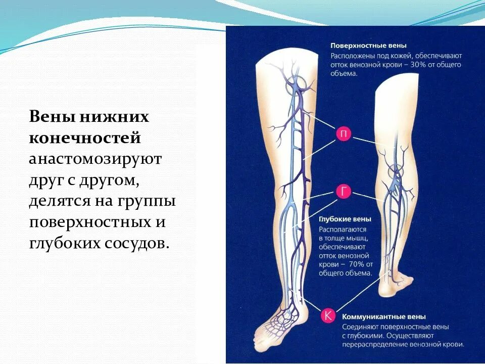 Карта вен нижних конечностей. Суральные вены нижних конечностей анатомия. Суральные вены нижних конечностей что это такое. Суральная Вена нижних конечностей тромбоз. Вены нижних конечностей поверхностные и глубокие.