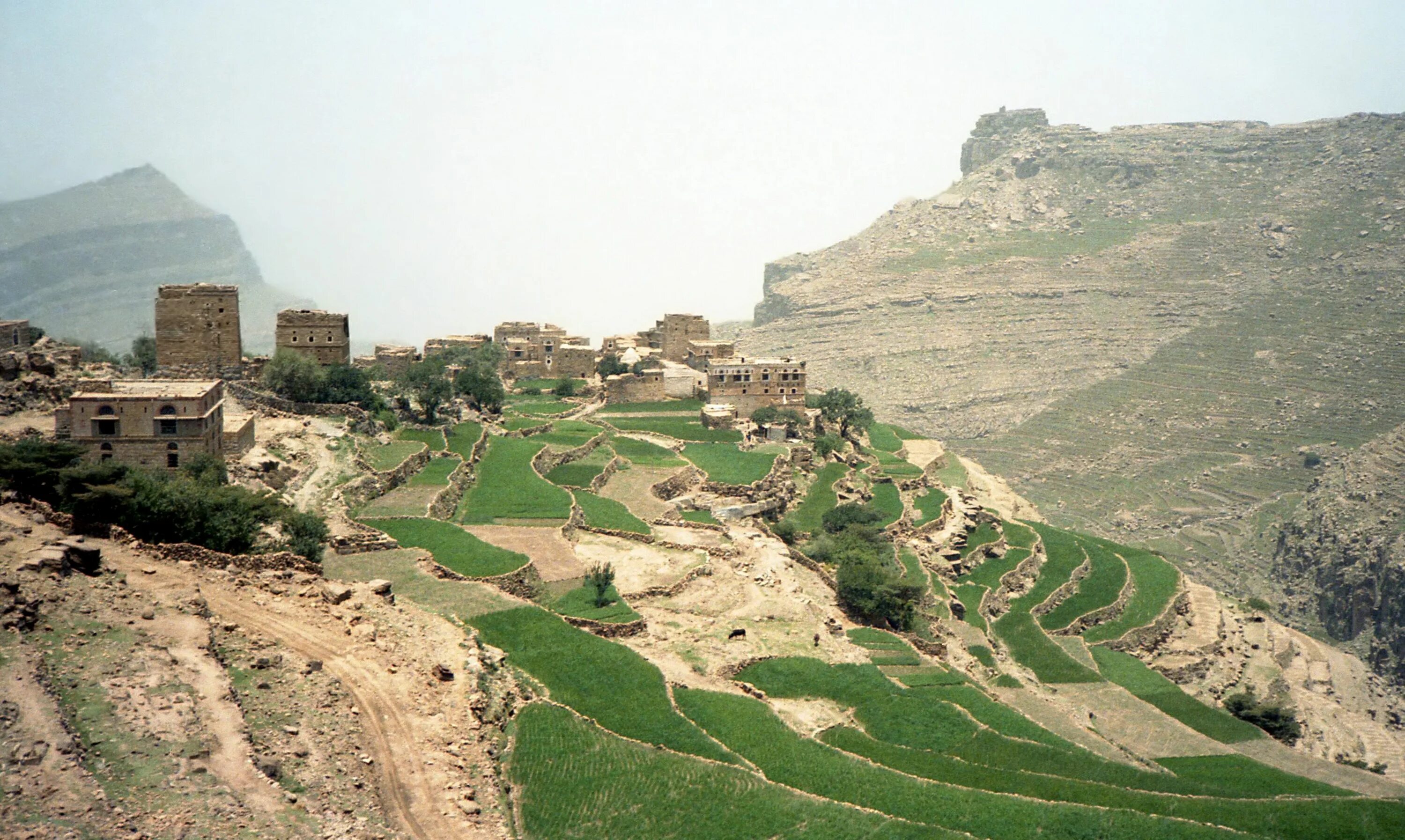 Хадджа (город Йемена). Йемен ландшафты. Аль Махвит Йемен. Город Сана Йемен. Растения в оазисах юго западной азии