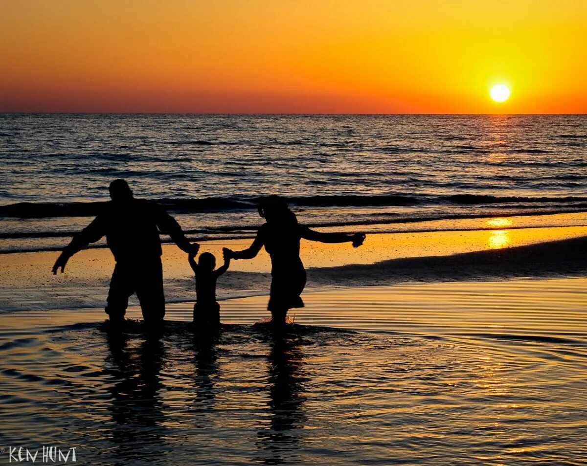 Sun family